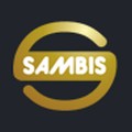 Логотип Высшая школа международного бизнеса SAMBIS СГЭУ