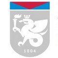 Логотип Высшая школа бизнеса КФУ